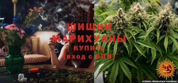 МДПВ Аркадак