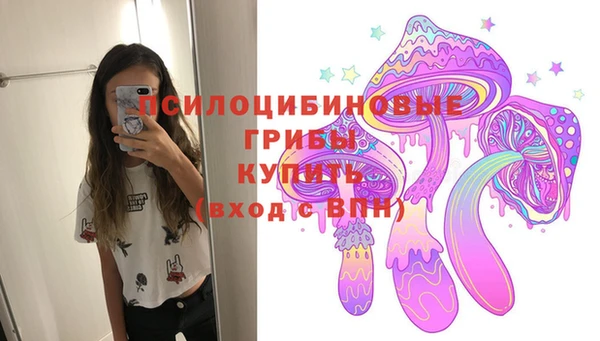 МДПВ Аркадак