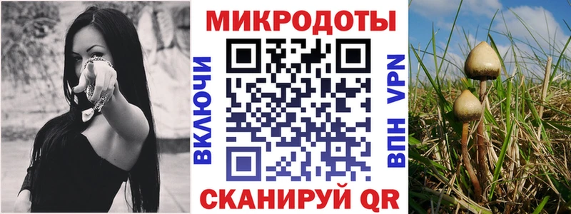 Псилоцибиновые грибы MAGIC MUSHROOMS  Аша 
