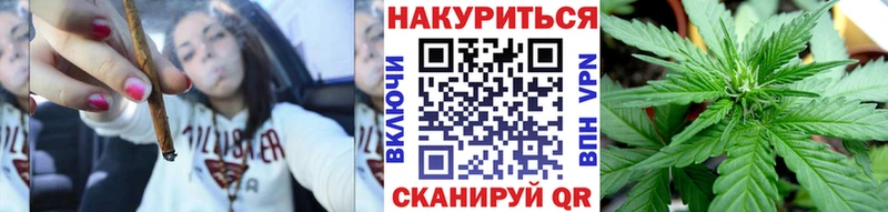Марихуана сатива Аша
